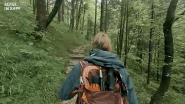 Person mit Rucksack wandert auf einem Waldweg, umgeben von grünen Bäumen.
