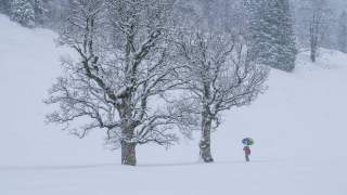 Winterlandschaft mit schneebedeckten Bäumen und einer Person, die einen bunten Regenschirm hält.