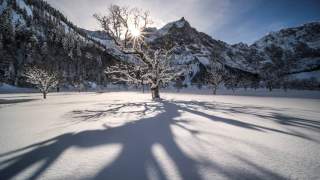 Verschneite Winterlandschaft mit kahlem Baum, dessen langer Schatten sich auf dem Schnee ausbreitet, vor Bergkulisse und sonnigem Himmel.