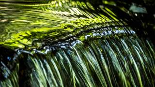 Nahaufnahme von fließendem Wasser mit grünen Pflanzenspiegelungen.
