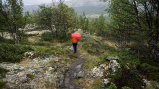 Eine Person mit rotem Regenschirm und oranger Jacke wandert auf einem schmalen Pfad durch eine grüne, bewaldete Landschaft. Im Hintergrund sind bewaldete Hügel unter bewölktem Himmel zu sehen.