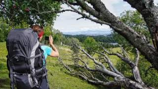 Eine Wanderin mit großem Rucksack fotografiert eine Landschaft mit Bäumen, Wiesen und einem See im Hintergrund.