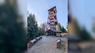 Ein Aussichtsturm, umgeben von Wald.
