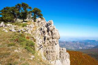Felsige Bergspitze mit einigen Kiefern und darüber klarem blauen Himmel, im Hintergrund weite Landschaft mit bewaldeten Hügeln.