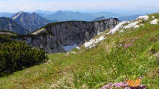Berglandschaft mit grünen Wiesen und Felsen im Vordergrund, im Hintergrund hohe Berge unter blauem Himmel, auf einer Blume sitzt ein Schmetterling.