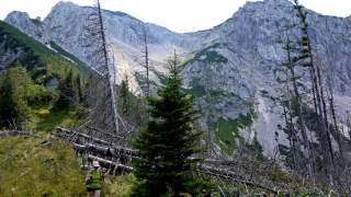 Wanderin mit Rucksack läuft auf schmalem Pfad durch Almwiesen und abgestorbene Bäume, im Hintergrund steile Felswände eines Gebirges.