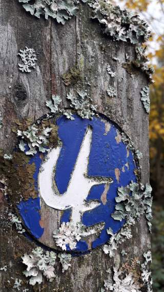 Wegemarkierung an Stamm