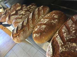 frisch gebackene Brotlaibe