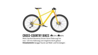Illustration eines gelben Cross-Country Bikes mit Hardtail-Bauweise und Beschreibung des Einsatzzwecks für bergige Touren auf Wald- und Forstwegen.