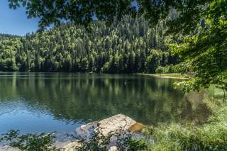 Klarer See mit bewaldeten Ufern, spiegelndes Wasser und Felsen im Vordergrund, umgeben von sattem Grün.