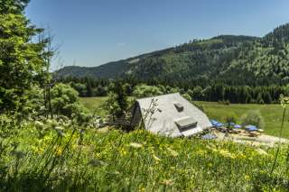 Blick über eine blühende Wiese auf ein Haus mit Schindeldach, umgeben von grünen Hügeln und Wald, unter blauem Himmel.