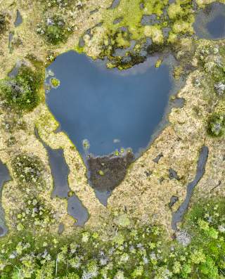 Luftaufnahme eines herzförmigen Sees, umgeben von Sumpflandschaft und grüner Vegetation.
