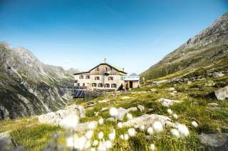 Hütte am Berg mit Almwiese