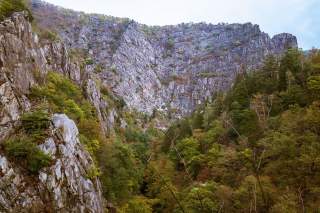 Felsige Schlucht mit steilen, bewaldeten Hängen und gemischtem Laub- sowie Nadelbaum-Bestand unter bewölktem Himmel.