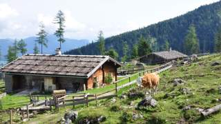Traditionelle Holzhütten stehen auf einer grünen Almwiese in den Bergen, auf der eine Kuh weidet.