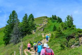 Eine Gruppe von Wanderern steigt bei sonnigem Wetter einen steilen, grünen Bergpfad hinauf, umgeben von Nadelbäumen und blauem Himmel.