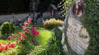 Grabstein mit Blumen und Efeu in einem gepflegten Friedhof bei Sonnenschein.