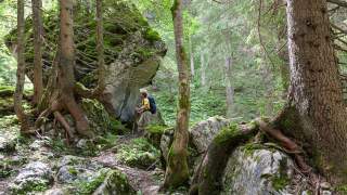 Wanderer mit Rucksack und Wanderstöcken steht vor einem großen, moosbewachsenen Felsen in einem dichten, bewaldeten Gebiet.