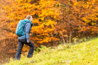 Wanderin im Aufstieg vor goldenen Herbstlaub.
