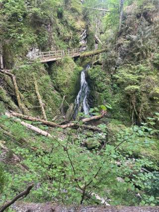 Kleiner Wasserfall in einer grünen, bewaldeten Schlucht, darüber eine Holzbrücke und umgestürzte Baumstämme.