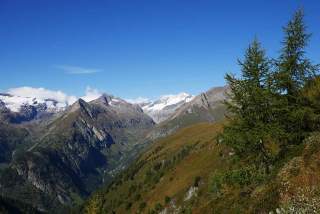 Berglandschaft mit schneebedeckten Gipfeln, grünen Hängen und vereinzelten Nadelbäumen unter klarem blauem Himmel.