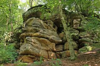 Große Sandsteinfelsen umgeben von grünem Laubwald mit einzelnen Bäumen und Bodendeckung aus Blättern und Farnen.