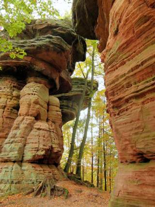 Felsformationen aus rotem Sandstein mit markanten Schichten und verwurzeltem Baumstumpf, umgeben von herbstlich gefärbtem Wald.