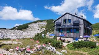 Holzhütte mit Solarpaneelen in bergiger Landschaft unter blauem Himmel, im Vordergrund Sitzbänke mit Sonnenschirmen.