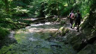 Wandern durch die Ehrenbachklamm