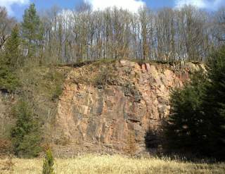 Felswand mit kahlen Bäumen oben drauf und grünem Unterholz, vor der Wand eine Wiese unter blauem Himmel mit Wolken.