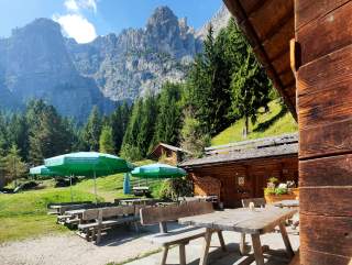 Holzbänke und Tische mit grünen Sonnenschirmen vor einer Berghütte, umgeben von Wiese, Bäumen und steilen Felswänden im Hintergrund.