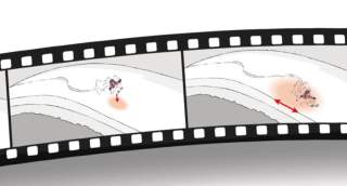 Zwei Comic-Bilder in einem Filmstreifen zeigen eine Person, die auf einem Abhang fährt: Im ersten Bild fällt die Person steil hinab, im zweiten Bild rutscht sie seitlich den Hang entlang.