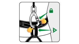 Illustration eines korrekt am Klettergurt eingehängten und verschlossenen Karabiners, mit grünen Pfeilen und Symbolen zur Veranschaulichung der richtigen Befestigung.