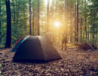 Zwei Personen stehen in einem herbstlichen Wald bei Sonnenuntergang neben zwei Zelten auf einem mit Laub bedeckten Boden.