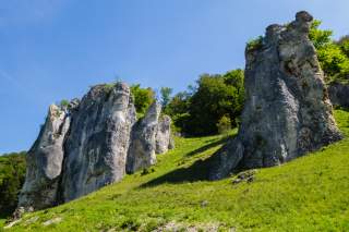 Felsenformationen auf einer grünen Wiese vor blauem Himmel mit Bäumen im Hintergrund.