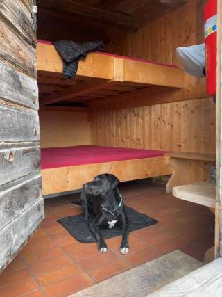 Schwarzer Hund liegt auf einer Decke auf einem Fliesenboden in einer Holzhütte mit einfachen Etagenbetten.