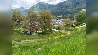 Enge Kopfsteinpflastergasse mit alten Stein- und Holzgebäuden, dekoriert mit Blumen in Töpfen und hängenden Körben.