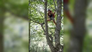 Frau mit Rucksack klettert fröhlich auf einem Baum in einem grünen Wald.