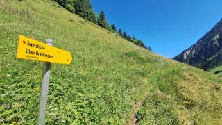 Wanderweg-Schild „Gamshütte über Grasbergalm“ auf einer blühenden Bergwiese mit grünen Wäldern und Bergen unter klarem blauem Himmel.