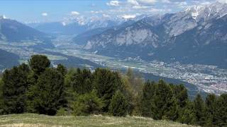 Blick von einer Anhöhe auf ein Tal mit grünen Wiesen, einer Stadt, bewaldeten Hängen und schneebedeckten Bergen im Hintergrund unter blauem Himmel.