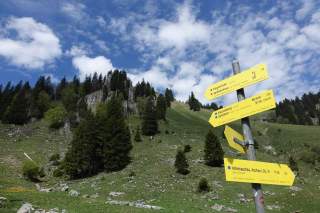 Wanderwegweiser mit gelben Schildern steht auf einer grünen Bergwiese vor bewaldeten Felsen und blauem Himmel mit Wolken.