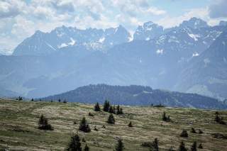 Weite Berglandschaft mit grünem, mit vereinzelten kleinen Tannen bewachsenem Hang im Vordergrund und schneebedeckten Gipfeln im Hintergrund unter bewölktem Himmel.