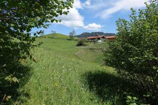 Grüne Wiese mit Blumen und Büschen im Vordergrund, dahinter ein Bauernhaus auf einem Hügel unter blauem Himmel mit Wolken.