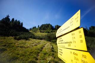Wanderweg mit mehreren gelben Wegweisern, die verschiedene Routen und Gehzeiten zu Berggipfeln und Hütten anzeigen, vor einer grünen Berglandschaft und blauem Himmel.