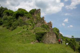 Eine von viel Grün überwucherte Burgruine. Rechts im Bild eine Frau und ein Mann beim Wandern.