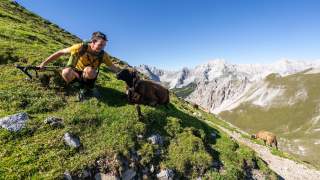 Ein Wanderer in gelbem T-Shirt hockt auf einer grünen Bergwiese und streichelt ein schwarzes Schaf, im Hintergrund sind weitere Schafe und alpine Berggipfel zu sehen.