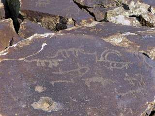 Felswand mit verschiedenen Petroglyphen, darunter stilisierte Tier- und Menschendarstellungen.