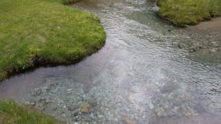 Klares, fließendes Wasser in einem kleinen Bach mit sichtbarem steinigem Bachbett, umgeben von grünen Grasflächen.