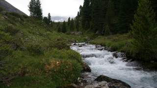 Bergbach mit klarem, sprudelndem Wasser fließt durch eine grüne, bewaldete Landschaft mit Nadelbäumen und Felsen. Im Hintergrund sind bewölkte Berggipfel zu sehen.