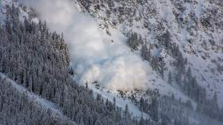 Lawine aus Schnee und Staub rollt einen bewaldeten, verschneiten Berghang hinab.